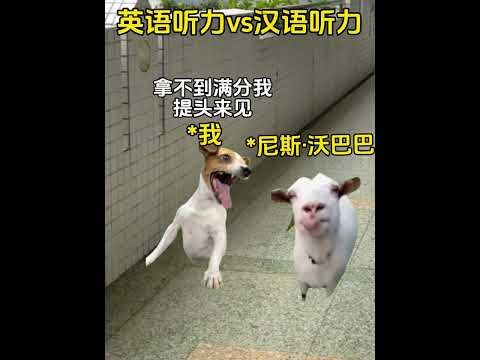 英语听力vs汉语听力 有趣 猫meme 猫meme剧场 猫meme小剧场 内容过于真实  故事 貓 猫猫meme小剧场… サムネイル