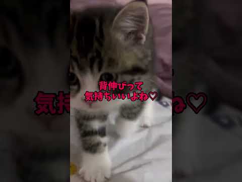 あなたは耐えられますか？