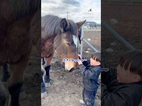 相思相愛なふたり｜PECO サムネイル