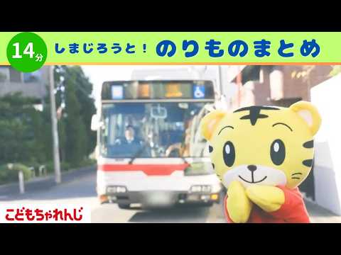 【14分のりものまとめ】しまじろうとバスにのってみよう｜のりもの｜アニメ｜しまじろうのわお！｜しまじろうチャンネル公式