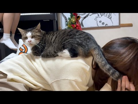 オデコが反抗期？呼びかけを一切無視する猫 サムネイル