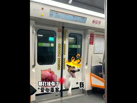 当社恐的我被地铁门夹手时 有趣 猫meme 猫meme剧场 猫meme小剧场 内容过于真实  故事 貓 猫猫meme小… サムネイル