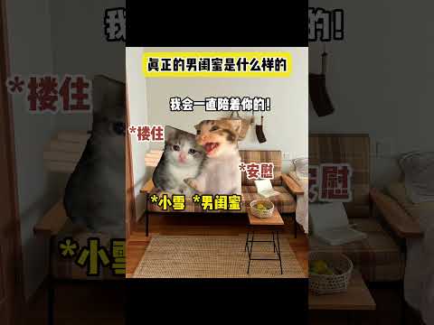 这才是真正的男闺蜜！有趣 猫meme 猫meme剧场 猫meme小剧场 内容过于真实  故事 貓 猫猫meme小剧场… サムネイル
