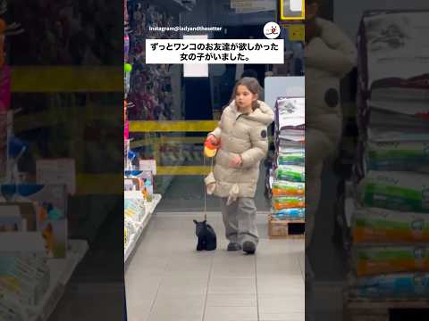 ずっと欲しかったお友達｜PECO サムネイル