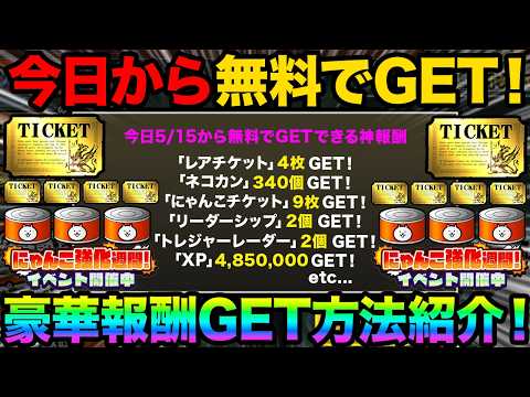 絶対チェックして！今日から無料でレアチケット4枚GETする方法紹介！無料でネコカン340個GETする方法紹介！99%が… サムネイル