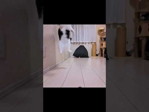 悟り開けそう😇