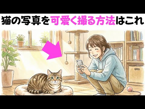 【猫の写真を可愛く撮る方法】猫の雑学 サムネイル