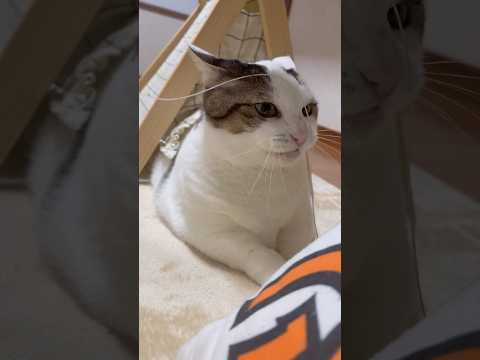 獲ったどぉー サムネイル