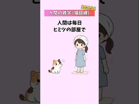 【番外編】猫から見た人間が愛おしすぎた件【人間の雑学(猫目線)】  猫 雑学 豆知識 トリビア 音声「VOICEVOX… サムネイル
