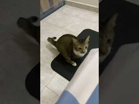 Tiny steps… and oops, a fall. サムネイル