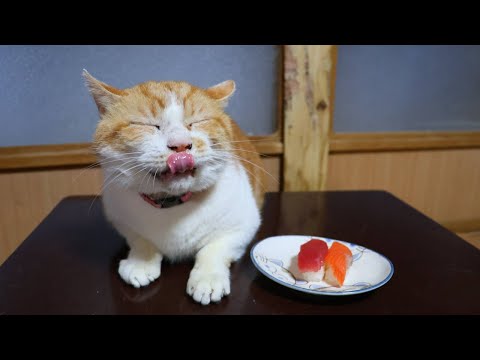 ちゃぶ台の上のマグロとサーモンのお寿司　260102 サムネイル