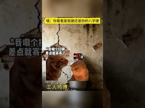 原来硬的不是墙 而是八字呀.有趣 猫meme 猫meme剧场 猫meme小剧场 内容过于真实  故事 貓 猫猫meme… サムネイル