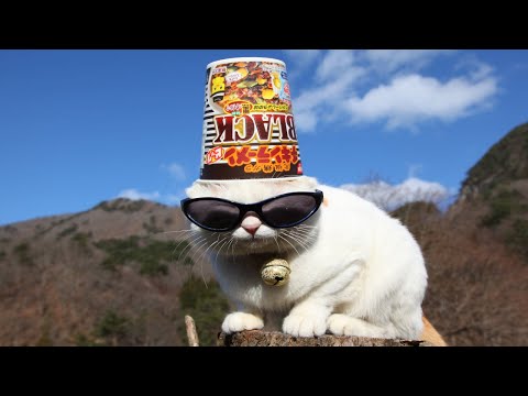 うずまきLIVE配信？　放置？　2026年1月17日 サムネイル