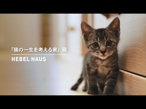 HEBEL HAUS｜ペットが幸せ、というしあわせ。 サムネイル