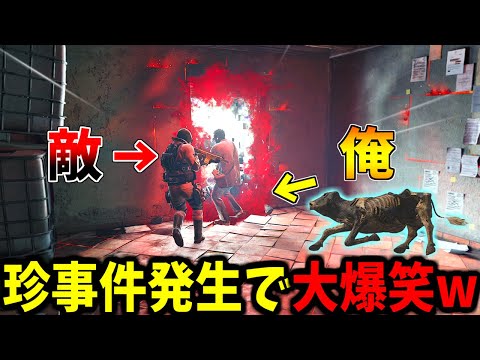 トレンドを超えた絶対に見つからない隠れんぼ！最新Prop Huntの神回 サムネイル