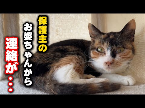 保護してくれたお婆ちゃんからのLINEに驚きました サムネイル