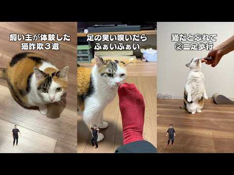 猫飼ってる人にしかワカラナイ６連発