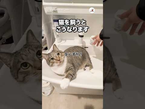 洗面台が使えない｜PECO サムネイル