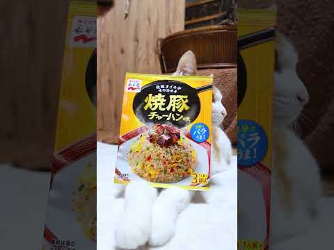 焼豚チャーハンの素　260803　 cat　 ネコ　 cute　 焼豚チャーハンの素　 にゃんグラム　 cutecat… サムネイル