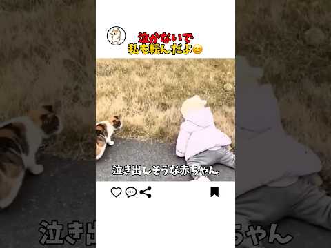日頃は見せない猫の優しさ サムネイル