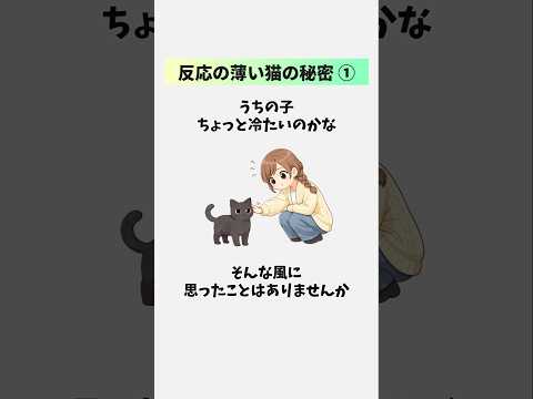 【反応が薄い猫の秘密①】リアクションが少ない猫ほど飼い主を観察している理由  猫 雑学 豆知識 トリビア 音声「VOI… サムネイル