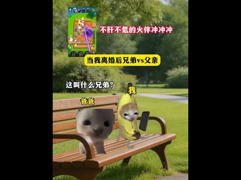 当我离婚后兄弟VS父亲 有趣 猫meme 猫meme剧场 猫meme小剧场 内容过于真实  故事 貓 猫猫meme小剧… サムネイル