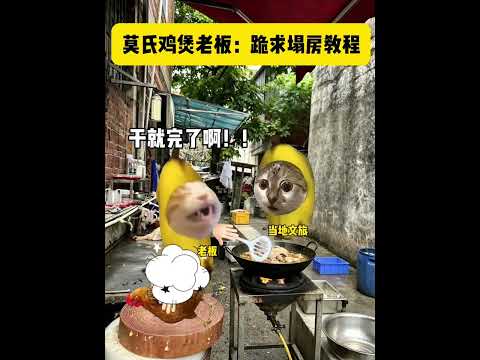 莫氏鸡煲老板：跪求塌房教程 有趣 猫meme 猫meme剧场 猫meme小剧场 内容过于真实  故事 貓 猫猫meme… サムネイル