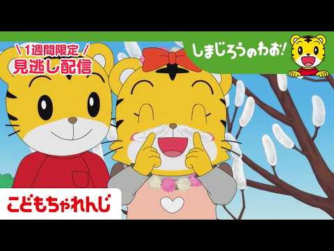 【見逃し配信】テレビ番組「しまじろうのわお！」 3月28日放送 ｜はるを さがそう！｜717【しまじろうチャンネル公式】 サムネイル