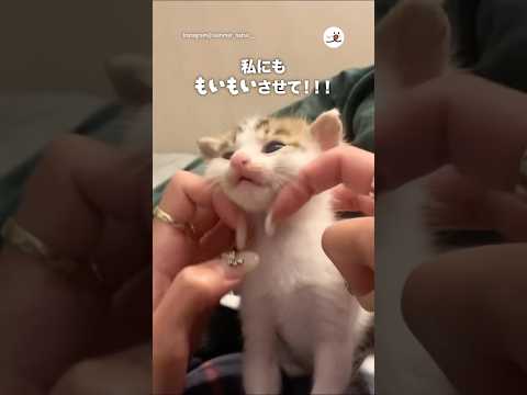もいもいしたいねぇ｜PECO サムネイル
