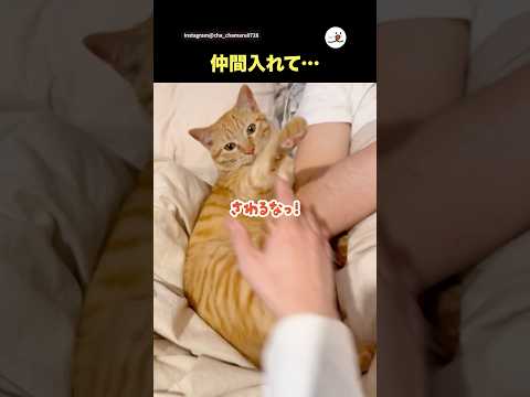 昔はベッタリだったのに…｜PECO サムネイル