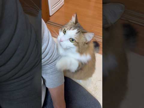 ちょっと浅かった？ サムネイル