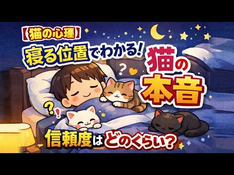 【猫の心理😻】猫が寝る場所でわかる！隠されたあなたへの信頼度と本音🐈  猫 雑学 豆知識 トリビア 猫の心理 サムネイル