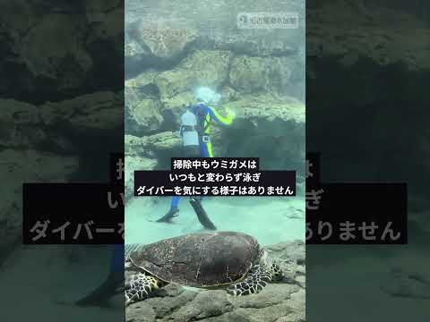 休館日の一コマ～Part 2 ～    #shots サムネイル