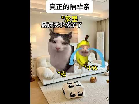 真正的隔辈亲 有趣 猫meme 猫meme剧场 猫meme小剧场 内容过于真实  故事 貓 猫猫meme小剧场 喵不可言 サムネイル