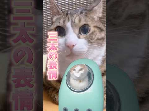 話題の癒し！お婆ちゃんと猫と三太の楽しい一日