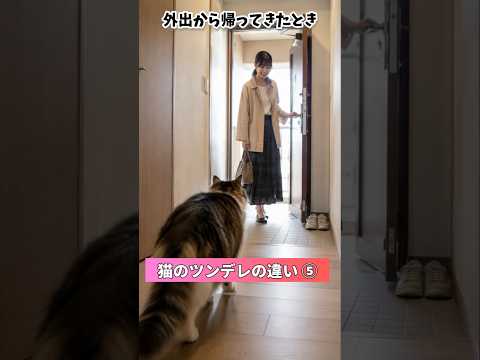 「ツンな猫」と「デレな猫」の愛情表現10選⑤ 猫 猫の特徴 猫の性格 音声「VOICEVOX:ずんだもん」さん