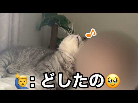 パパと二人きりになったら猫が... サムネイル