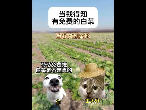 听说有免费的白菜我就来了 有趣 猫meme 猫meme剧场 猫meme小剧场 内容过于真实  故事 貓 猫猫meme小… サムネイル