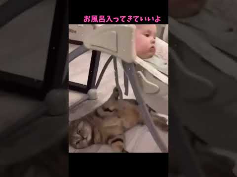 もう、無理…🥺