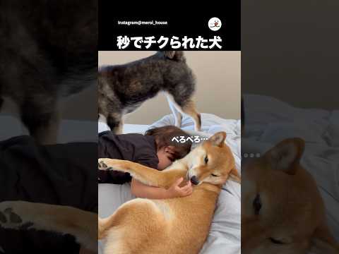 カプってしたことチクられた|PECO