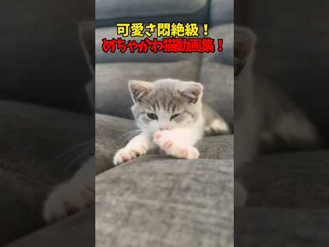 ぐぬああああああ！(悶絶の音) サムネイル