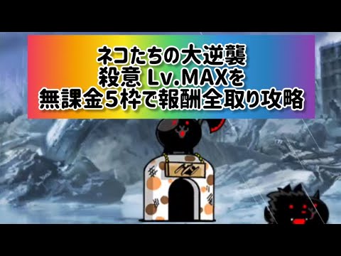 ネコたちの大逆襲 殺意 Lv.MAXを無課金５枠で報酬全取り攻略【にゃんこ大戦争】 サムネイル