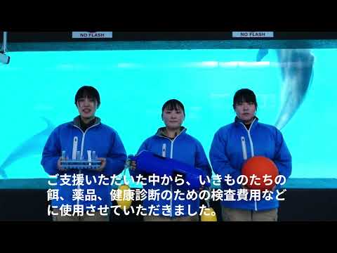2025年 いきもの育成基金へのご協力ありがとうございました！ サムネイル