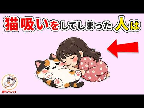 【猫が好きすぎる😻】猫吸いをする人へ送る猫吸い人間の雑学と猫の雑学「なぜ人間は猫を吸ってしまうのか」 猫 雑学 豆知識… サムネイル