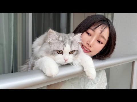 生まれて初めて桜を見た子猫がこうなった…w サムネイル