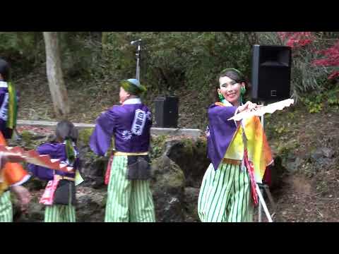 TEAM白獅子・サンコ西川＠2025　東郷公園もみじまつり サムネイル
