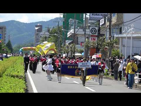 東海大学　吹奏楽部研究会＠2026　八王子よこやまマーチングフェスティバル サムネイル