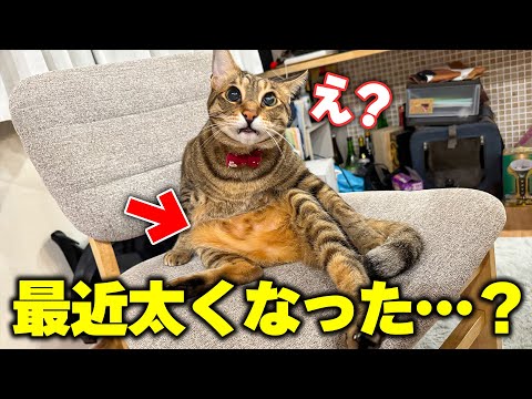 なんか最近ぽっちゃりしてきてない…？→ 体重を測ったらまさかの結果に…