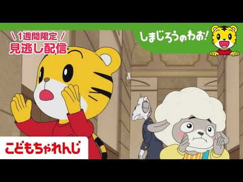 【見逃し配信】テレビ番組「しまじろうのわお！」 2月14日放送 ｜かくれんぼう なのだ！｜711【しまじろうチャンネル… サムネイル