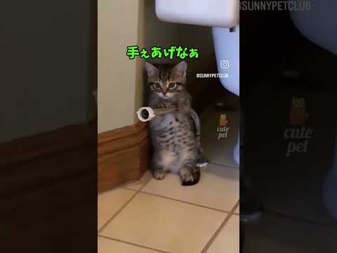 やっべ、沼だったわ…😇
